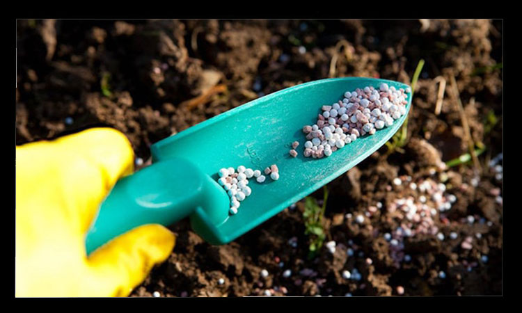 معایب کود شیمیایی برای محصولات کشاورزی