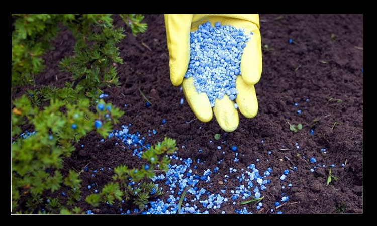 چند توصیه مهم درباره کودهای شیمیایی