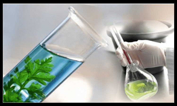استفاده از متیلن کلراید در صنایع غذایی