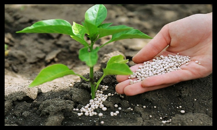 کودهای بیولوژیک