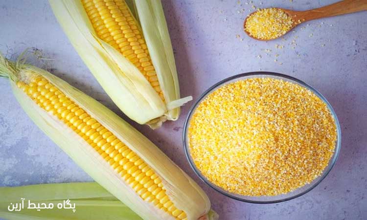آرد ذرت چیست؟