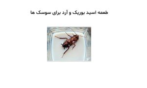 طعمه اسید بوریک و آرد برای سوسک ها