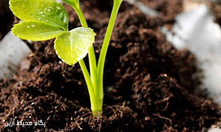 کاربرد های آمونیاک در صنعت کشاورزی