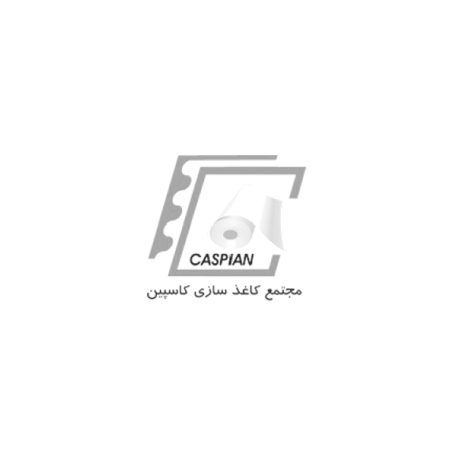 مجتمع کاغذ سازی کاسپین